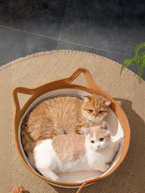 08249dd3-16f4-418d-aeaa-750f7bd9f289-Max