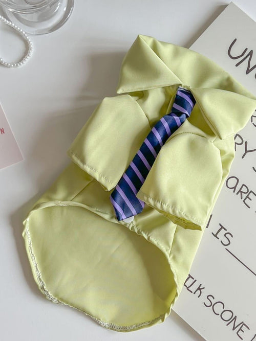 Pet Shirt with Striped Tie, Buttoned Polyester, Multiple Sizes