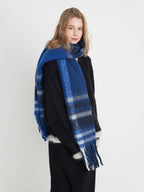 Women Scarf Fringe Plaid Polyester Tasseled Warm Long Fashion Accessories 2408320b-f66a-4daf-871a-77b84ae4c5db-Max Trendsi