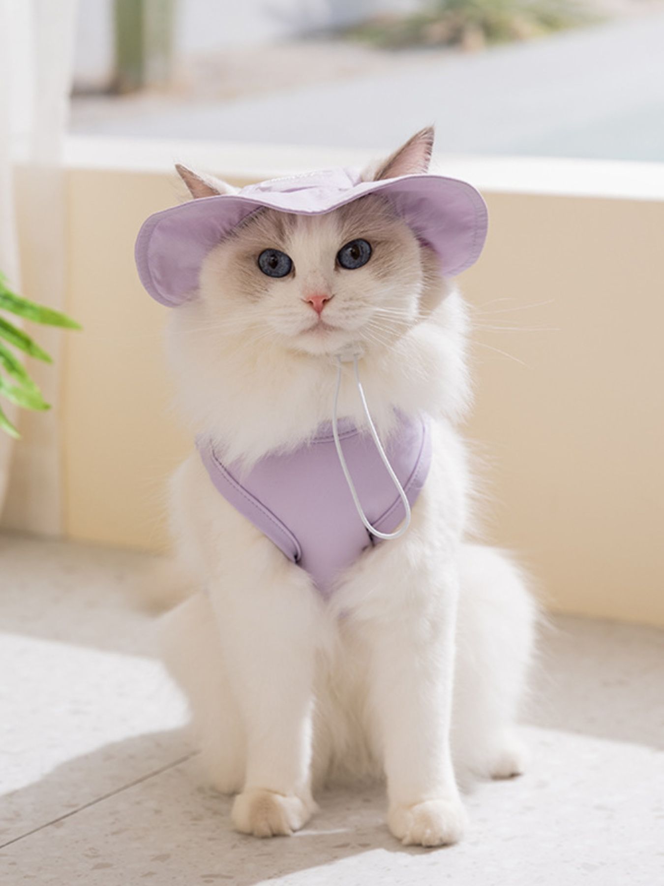 Cartoon Style Pet Tank Top