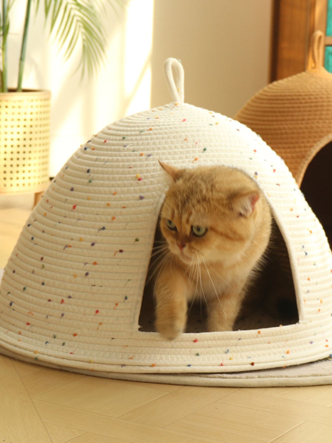 2a20bb53-5a8a-4aa1-8416-371751c7c801-Max