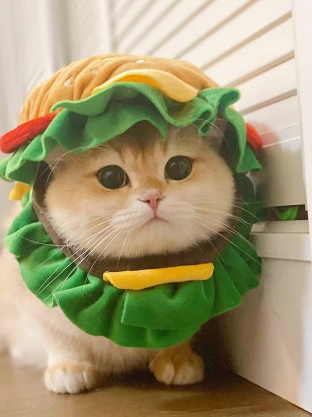 Cute Hamburger Style Pet Headwear Hat - Adorable Polyester Costume Accessory