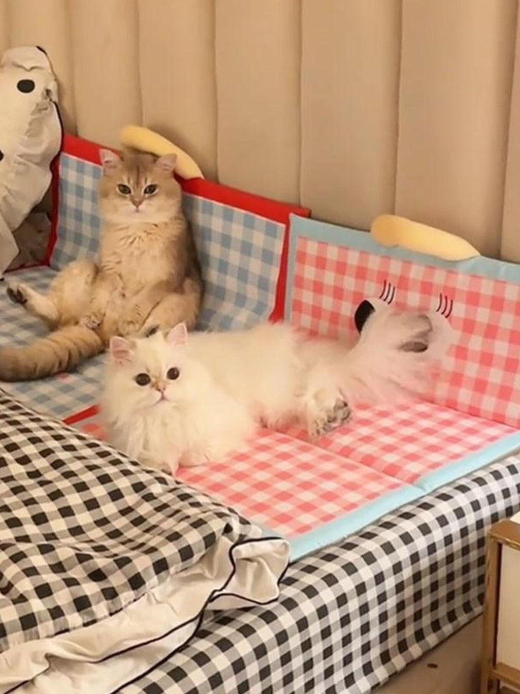 2d9059d9b8084fcdbc12ea6363a5088d-Max