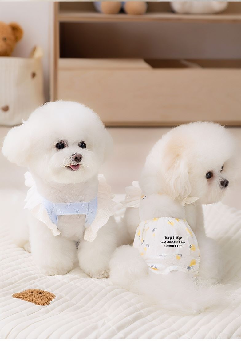 Pet Menstrual Underwear with Lace Design