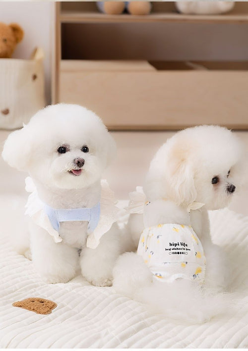 Pet Menstrual Underwear with Lace Design