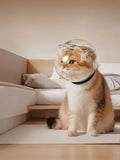 Transparent Spherical Head Cover for Pets to Prevent Biting