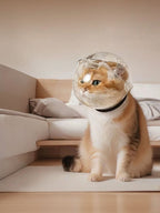 Transparent Spherical Head Cover for Pets to Prevent Biting