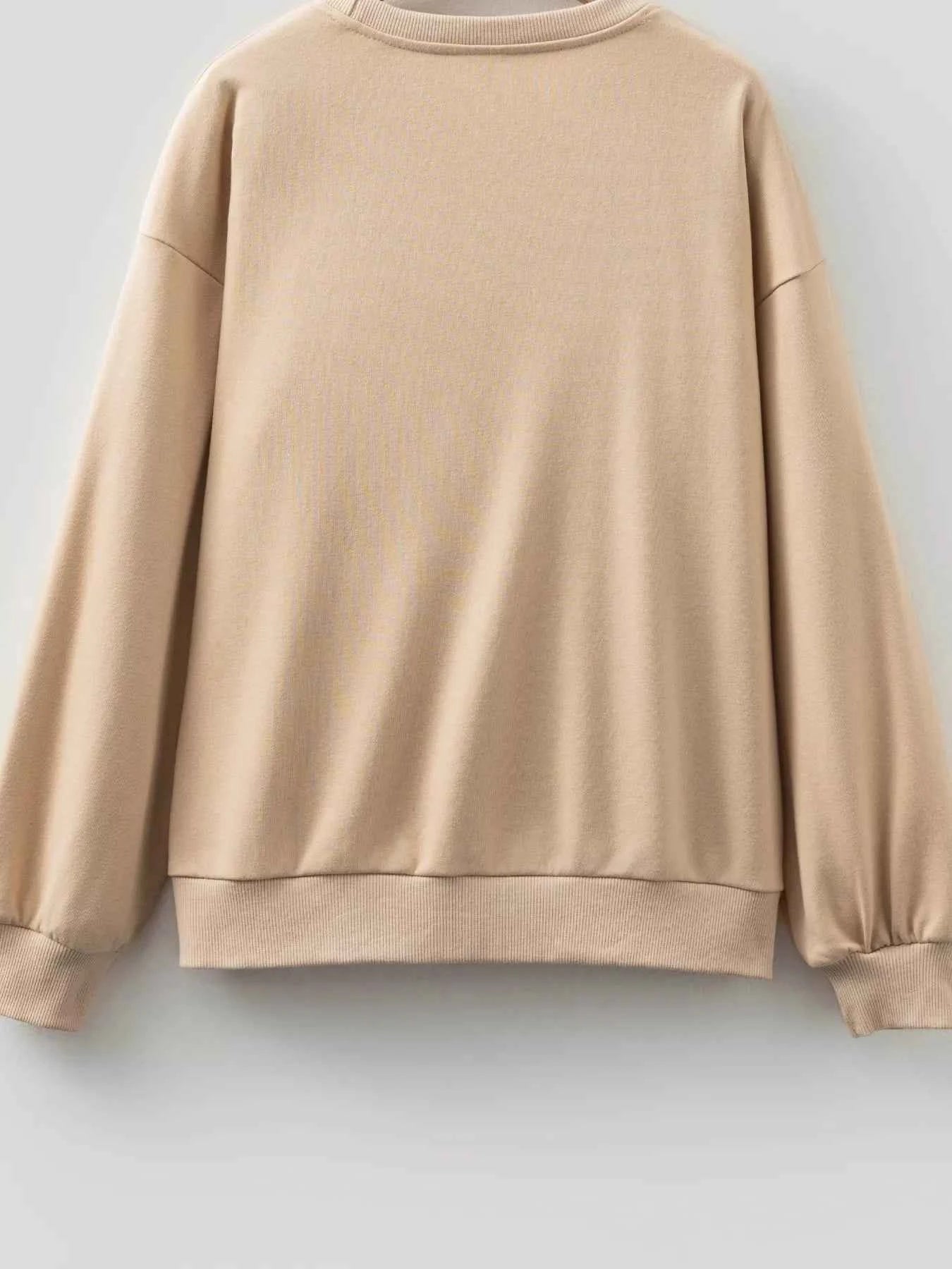 Women Sweatshirt Beige Embroidered Flower Pattern Long Sleeve Top 3cdeed224ef54fe490f06109025c9a39-Max-Origin Trendsi