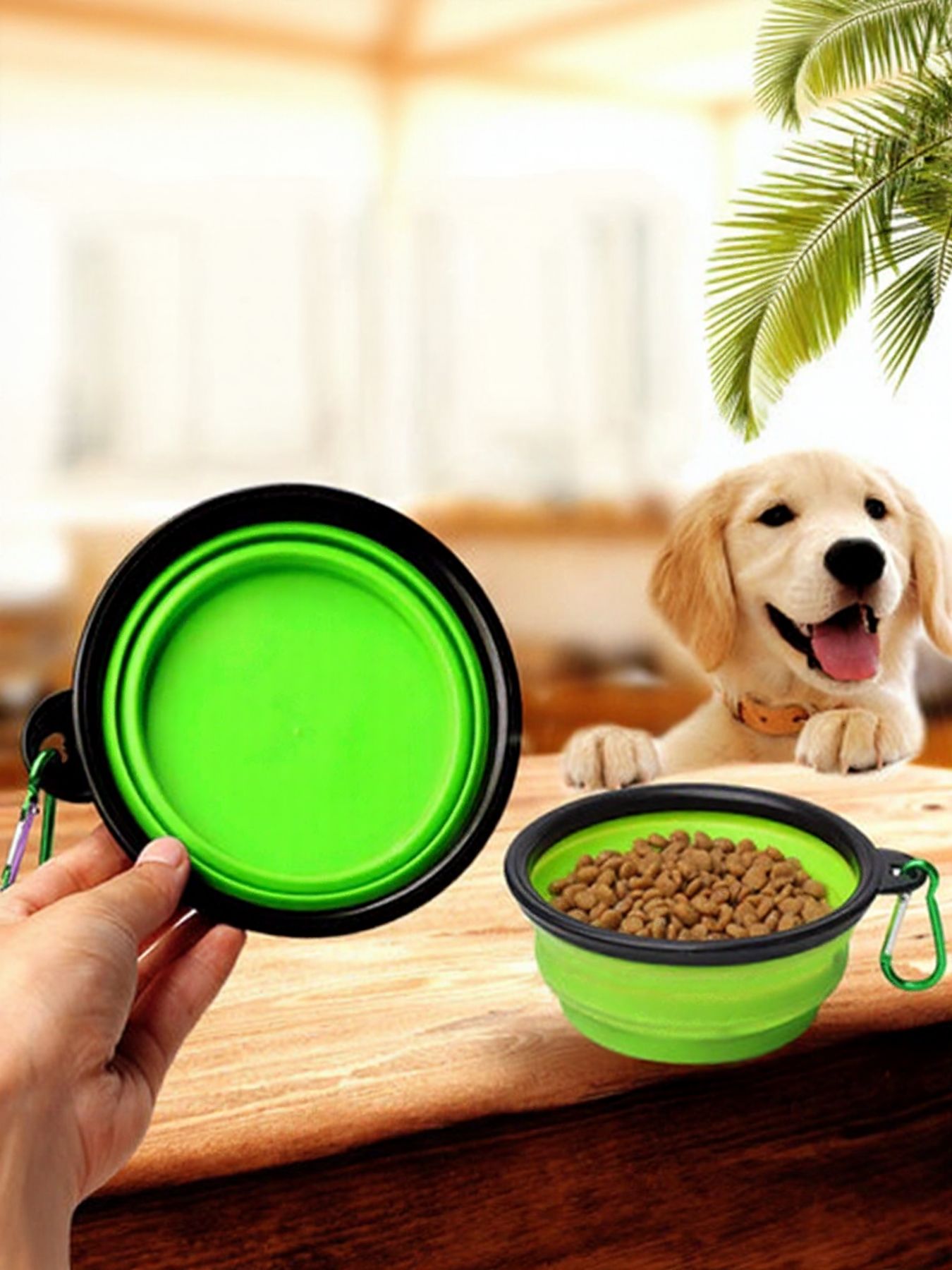 Portable Collapsible Pet Bowl