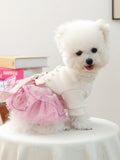 Pearl-Embellished Pet Dress