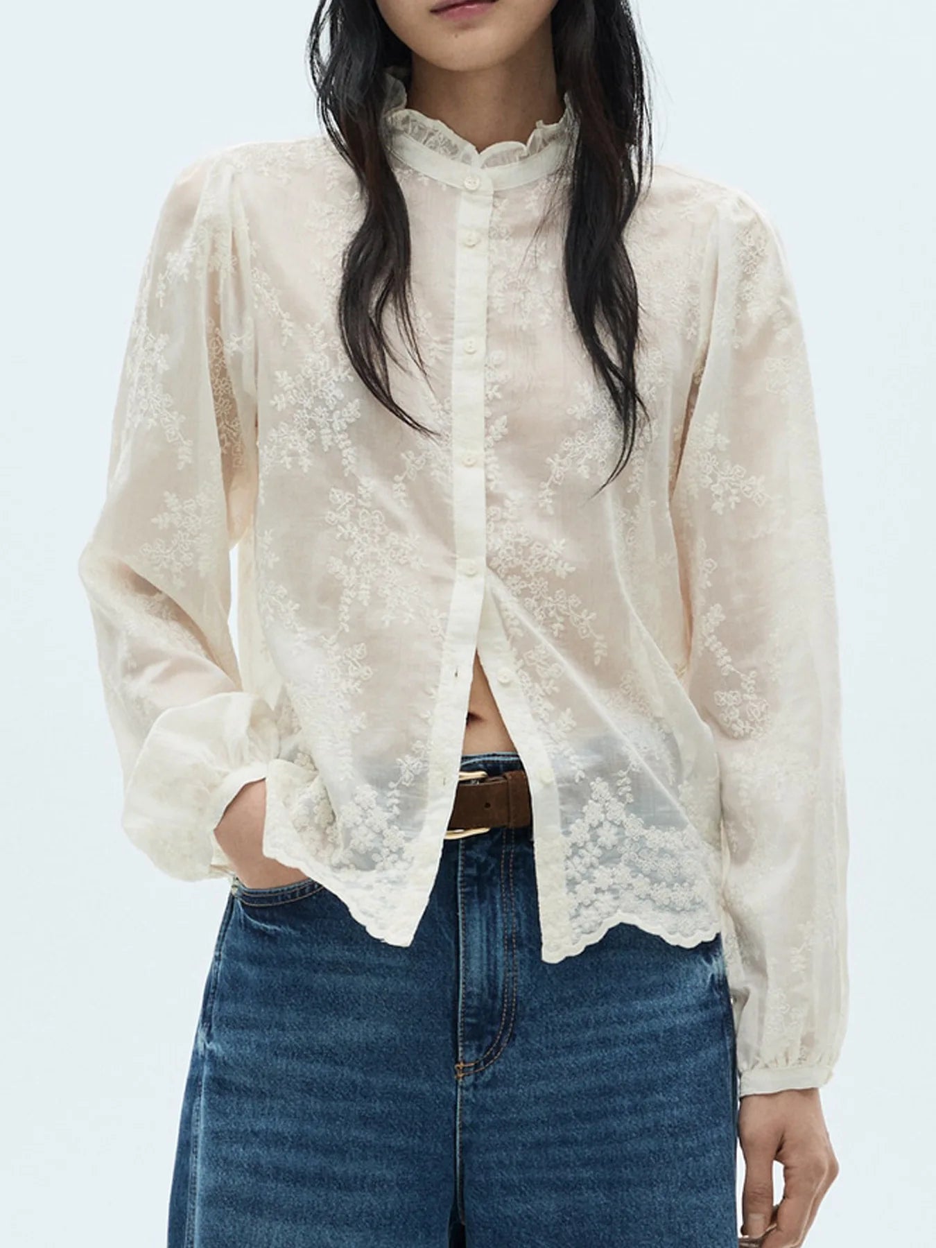 Women's Shirt Blouse Floral Embroidered Sheer Lace Long Sleeve Ruffle Neck Top