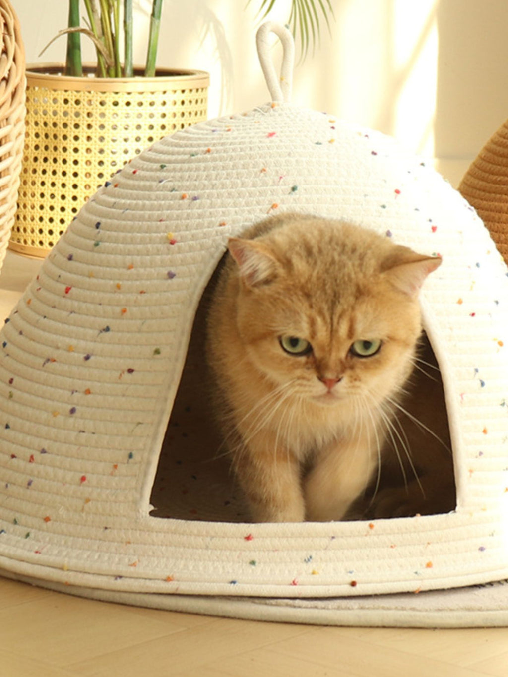 5b51dffc-a13d-4000-8dc3-d462ca1a87e8-Max