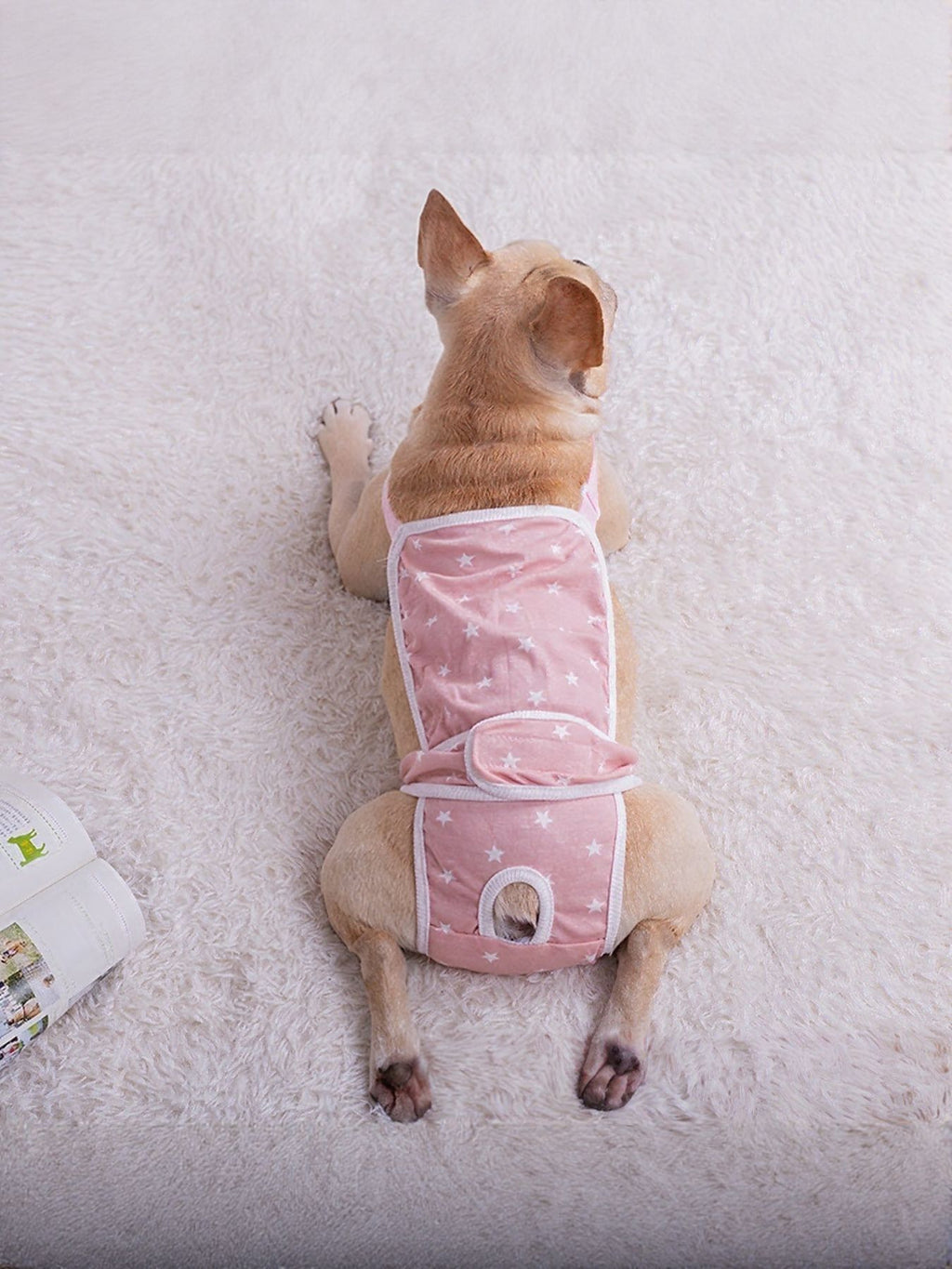 7df2d2d8-edad-4648-9a1e-d6dbc402a112-Max