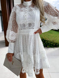 Mini Dress Floral Lace Lantern Long Sleeve Pearl Button High Neck Ruffled White 7ee332b0-062c-4cea-b894-55ae61a30810-Max-Origin Trendsi