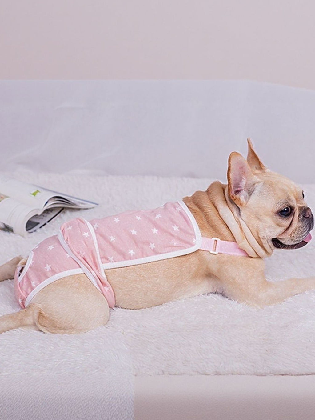 850f3c12-2c87-4538-aeb8-55e959d83b74-Max