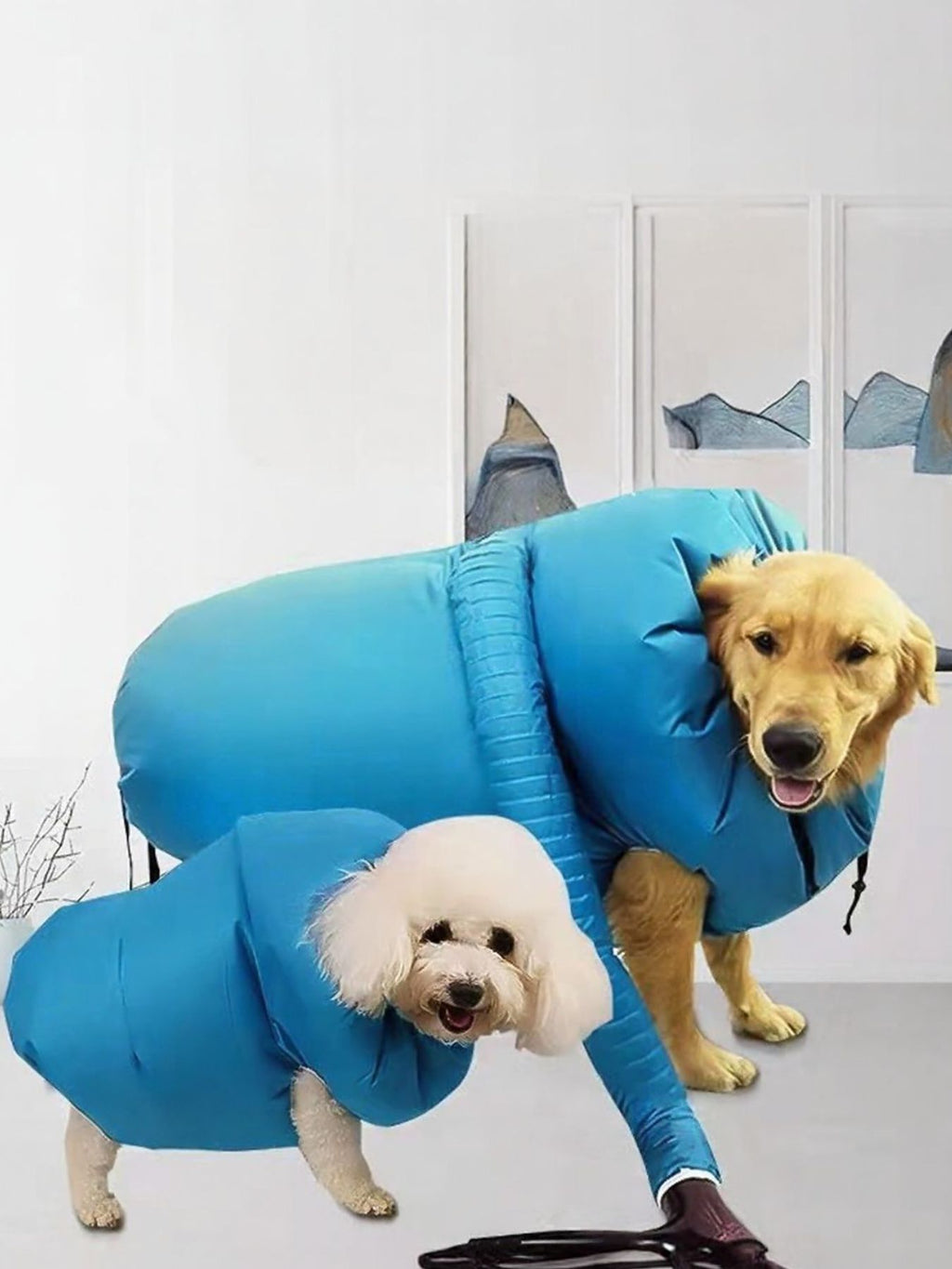 Portable Quick-Dry Pet Drying Bag – Sizes S to 2XL for Small to Large Dogs