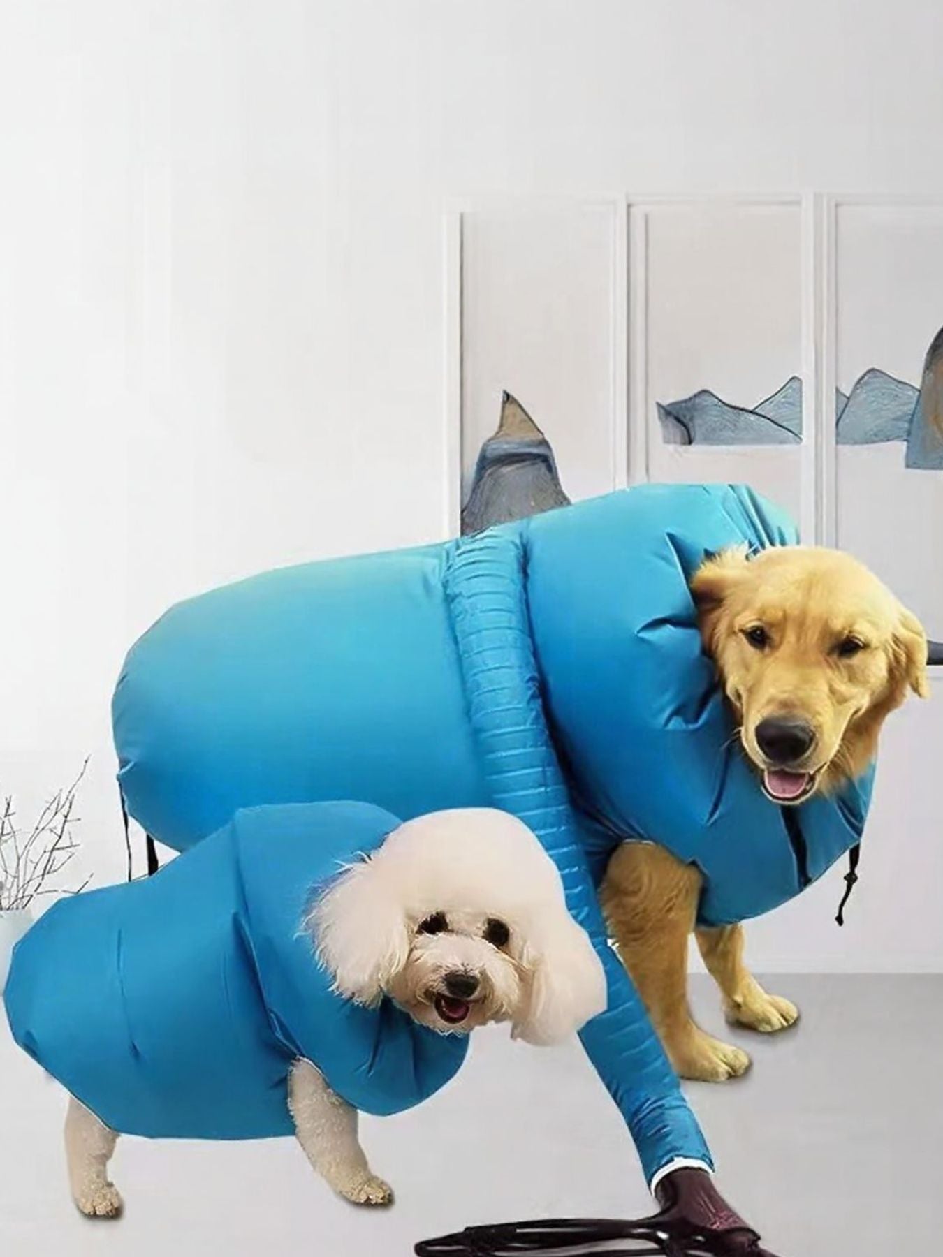 Portable Quick-Dry Pet Drying Bag – Sizes S to 2XL for Small to Large Dogs