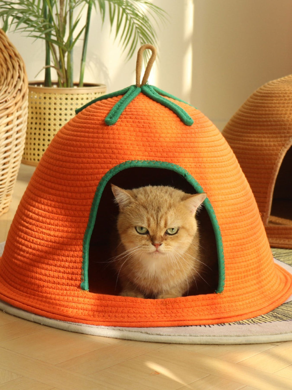 8e23c416-c6e0-4422-b11d-afc3c36dec84-Max