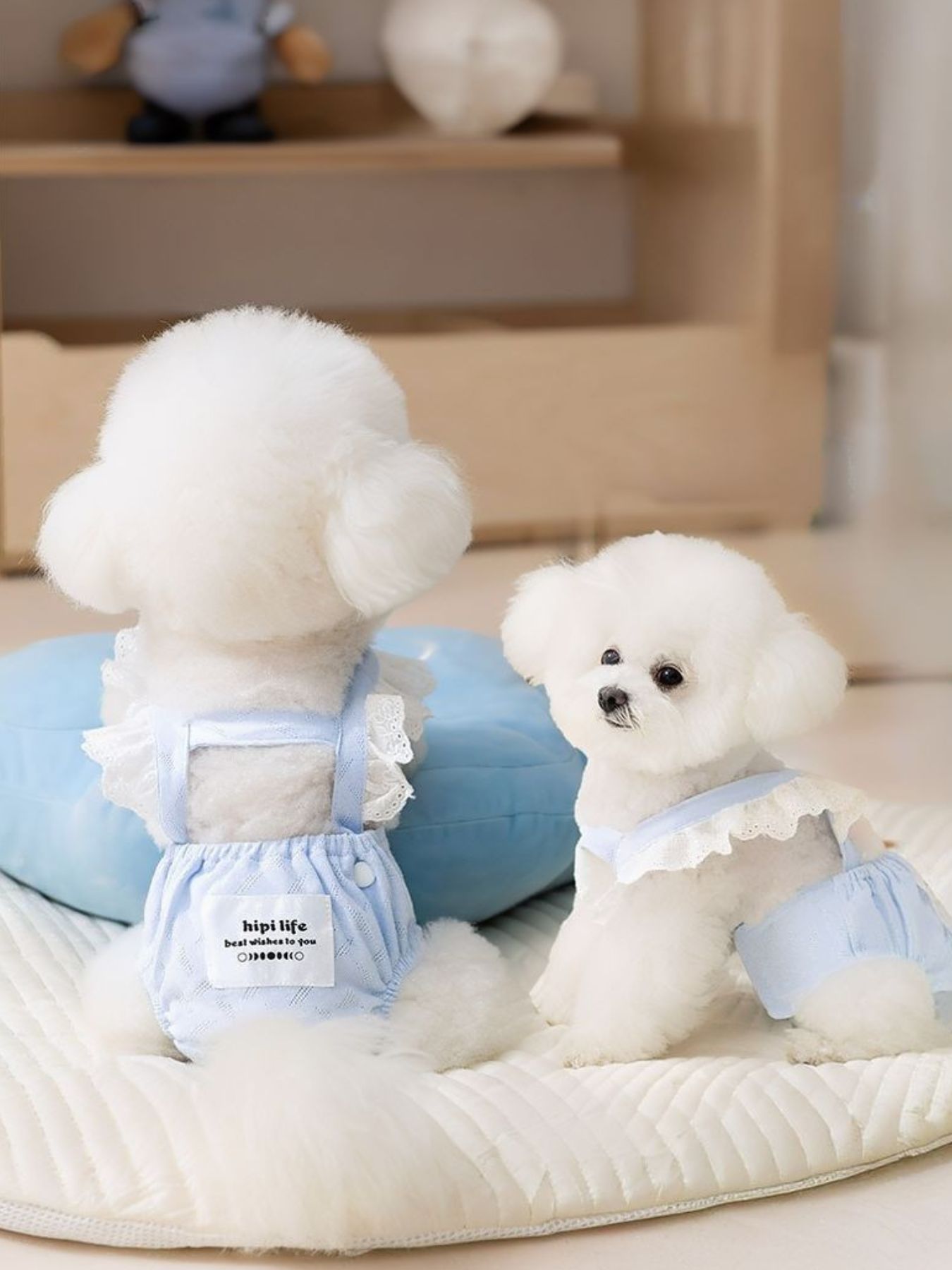 8f17aaef-d201-4cd6-9e4b-d0ed56dd0619-Max