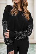 Sequin Blouse Black Boat Neck Long Sleeve Semi-sheer Top Black 943877da-5565-4a40-9181-7cb3c4211518-Max Trendsi