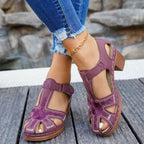 Women's Casual Sandals Floral Embroidered Cutout Block Low Heels Platforms