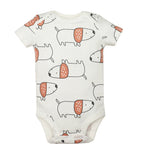 Baby Cotton Short-Sleeve Bodysuits, 5-Pack, 6–24 Months