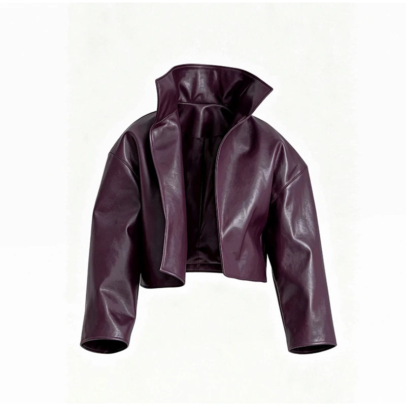 Urban Solid Pu Leather Women Jacket Street Stand Collar Long Sleeve Female Outwear 2026 Autumn Winter Chic New Lady Streetwear