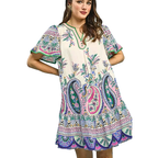 Umgee USA Mini Dress Paisley Floral Print Pink Blue Mix V-Neck Trim Ruffle Slee