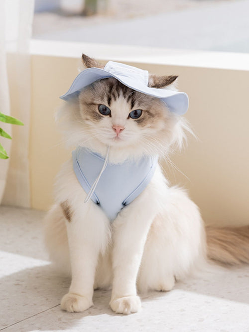 ab5c6a5f-8810-4fb9-bc79-c6f794a0c6fe-Max