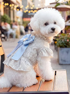 Elegant Ruffled Dog Dress with Decorative Bow – Sizes XS to XL, Imported