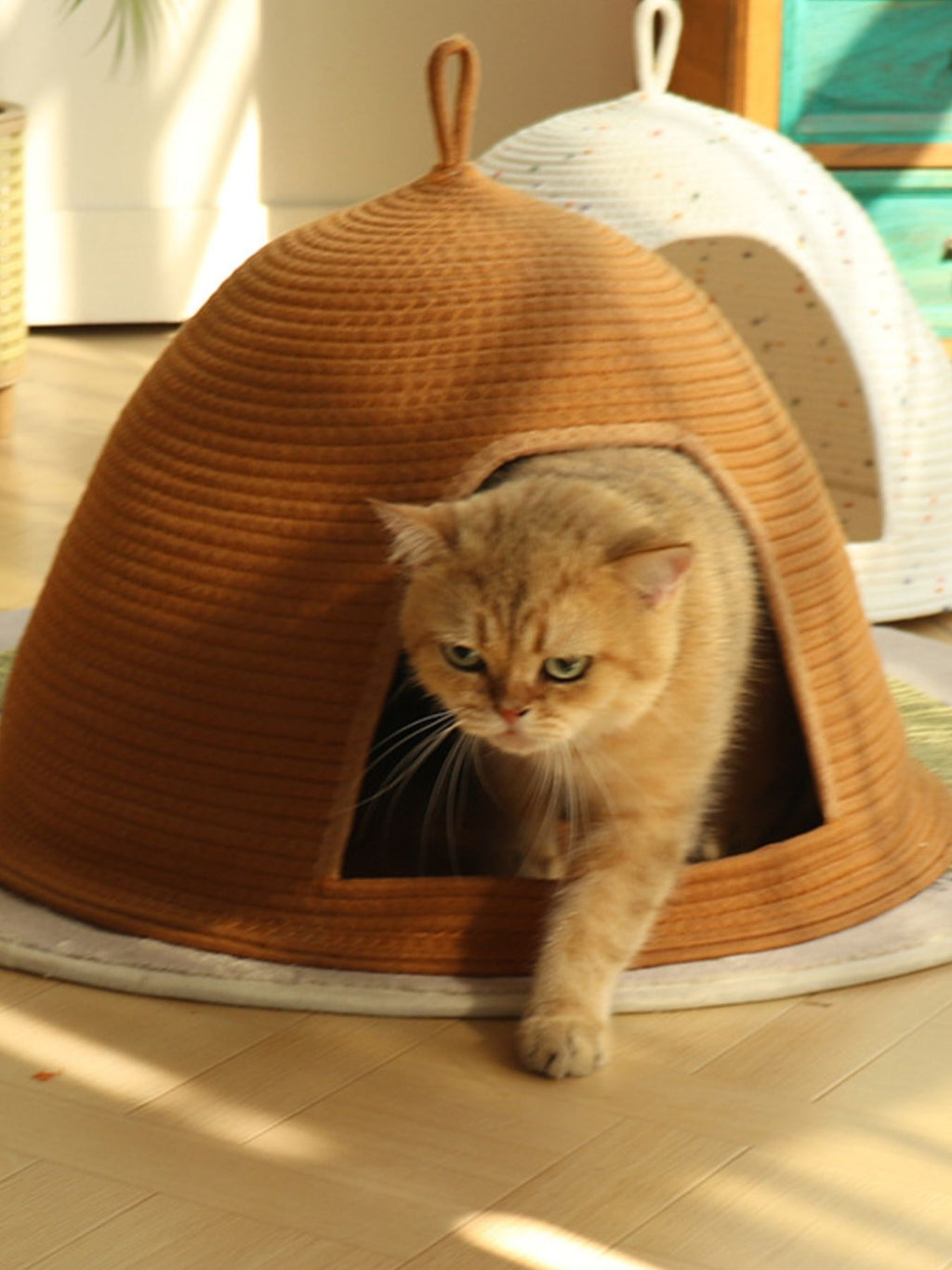 bd3ca12a-dcd1-433f-897e-e8fa4ac37367-Max