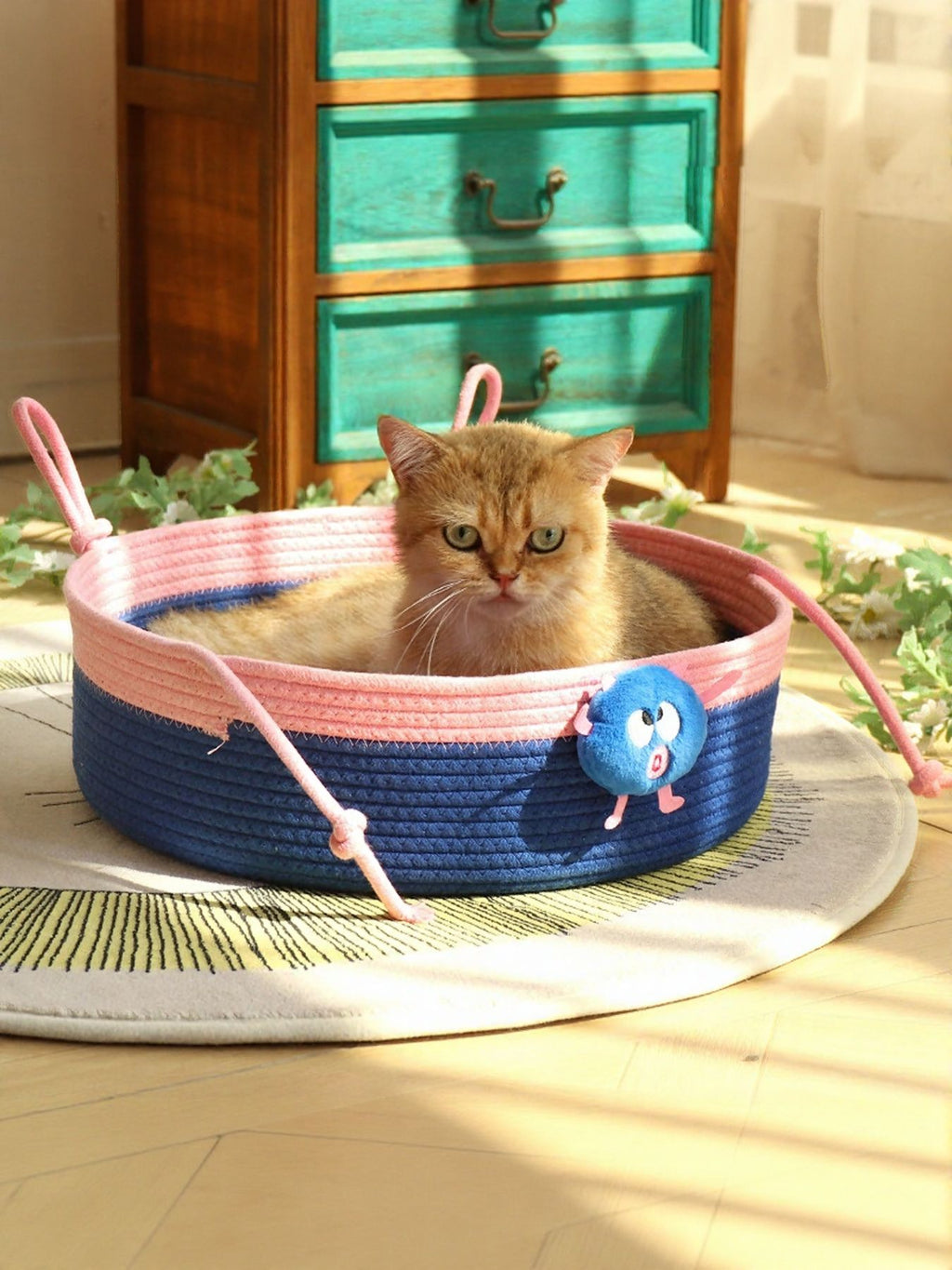 c105aea3-87b9-421e-bf95-9aabf75080d3-Max