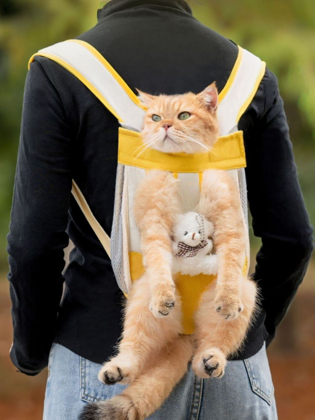 c34b5428-25d8-4cd9-9077-628ab3785c88-Max