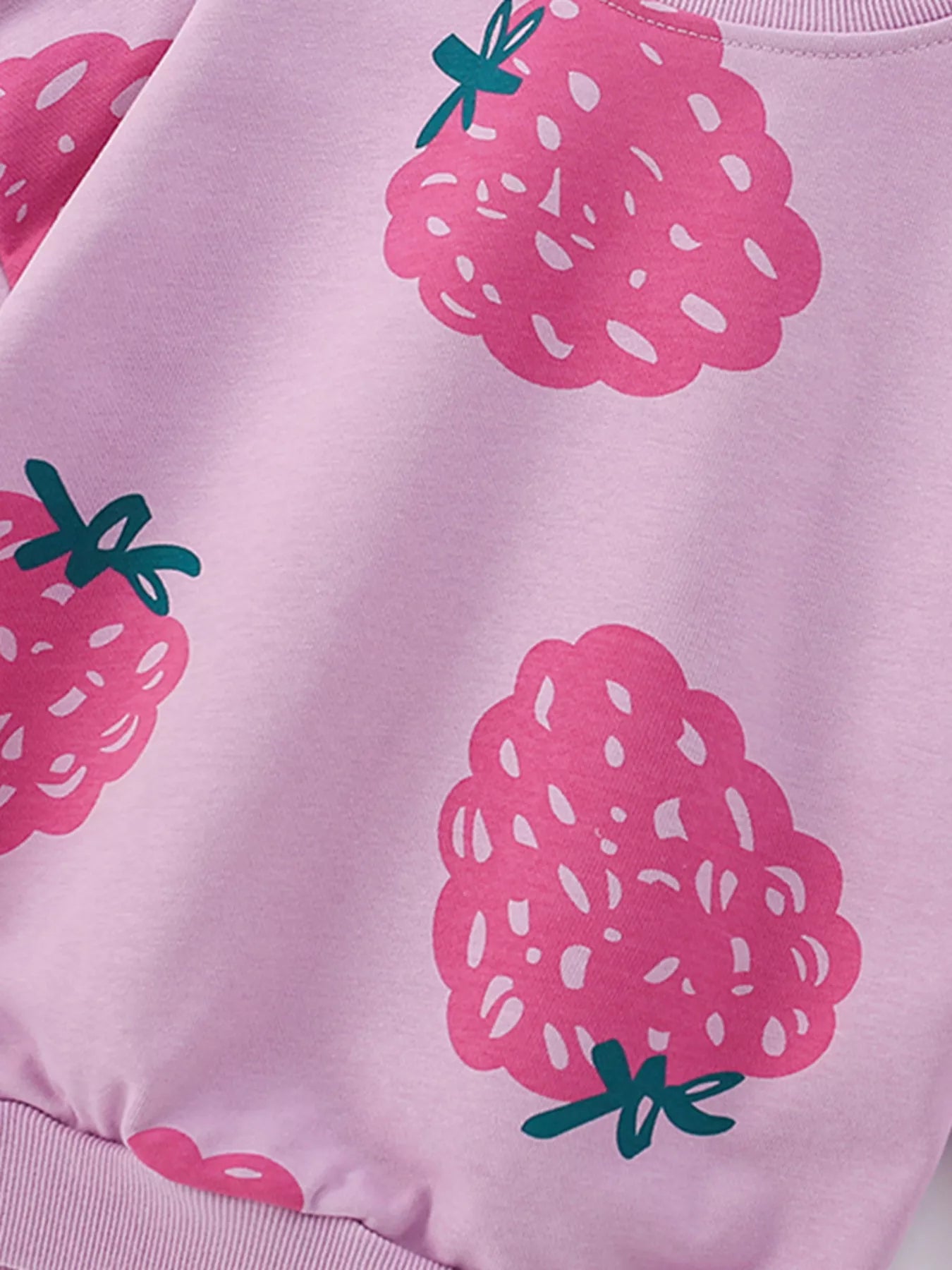 Children's Strawberry Print Crew Neck Casual Sweatshirt c6d2434ec9ef40e8bd9ba1f6a9dd4f19-Max-Origin Trendsi