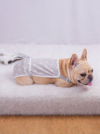 Anti-Harassment Functional Clothing for Pets