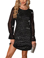 Glitter Sheer Sleeve Mini Dress