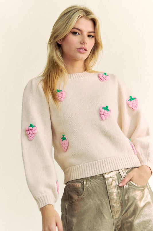 Davi & Dani Sweater Crochet Strawberry Embroidery Round Neck Long Sleeve cfc4d12c-ab2e-4cf8-a9a3-3a1b0918e55e-Max Trendsi
