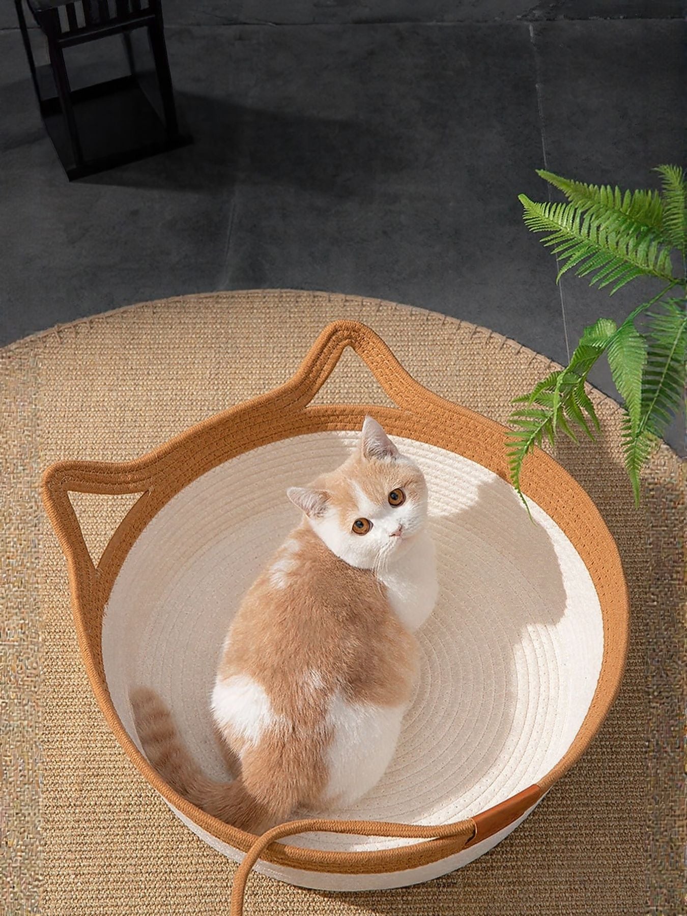 e89e13ff-d24c-48d1-a3fe-0dedff06a24a-Max