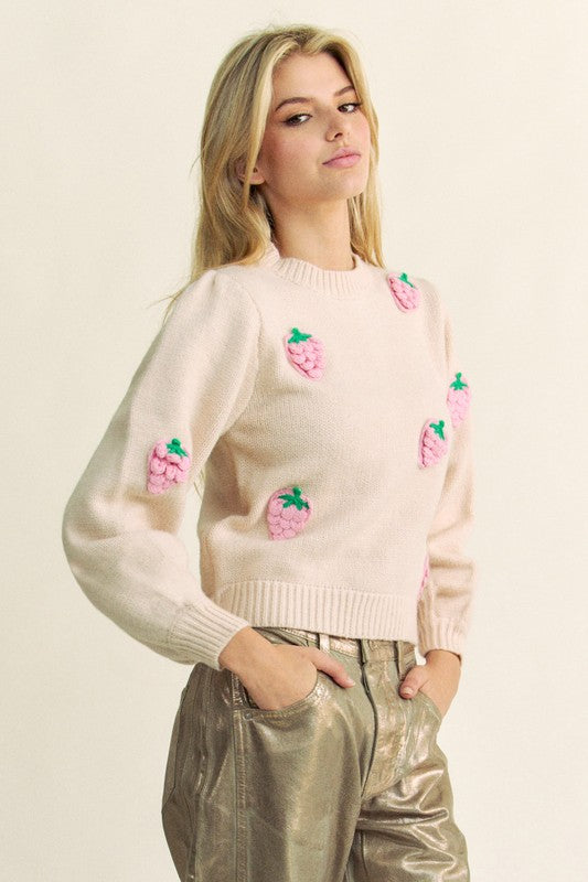 Davi & Dani Sweater Crochet Strawberry Embroidery Round Neck Long Sleeve e9e64fdd-39dd-4a9d-9ee4-27b0dcf6e528-Max Trendsi