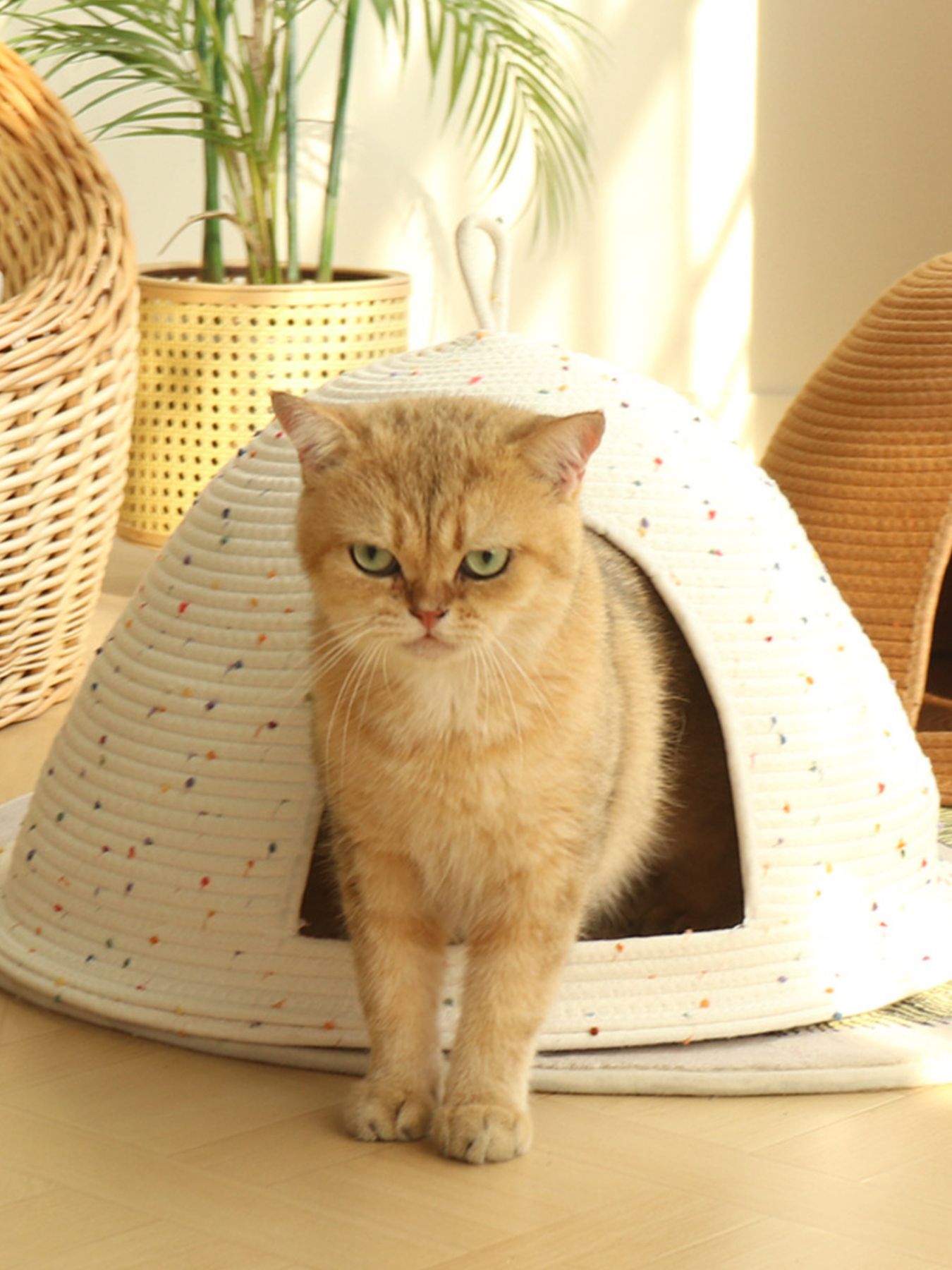 f0906984-200e-437d-bac8-9b31fa110d27-Max